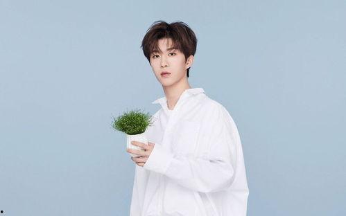 圈内大爆料鞠婧祎范丞丞,神秘恋情引热议